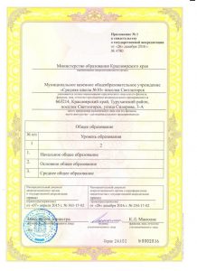 Свидетельство о государственной аккредитации МКОУ СШ №100002